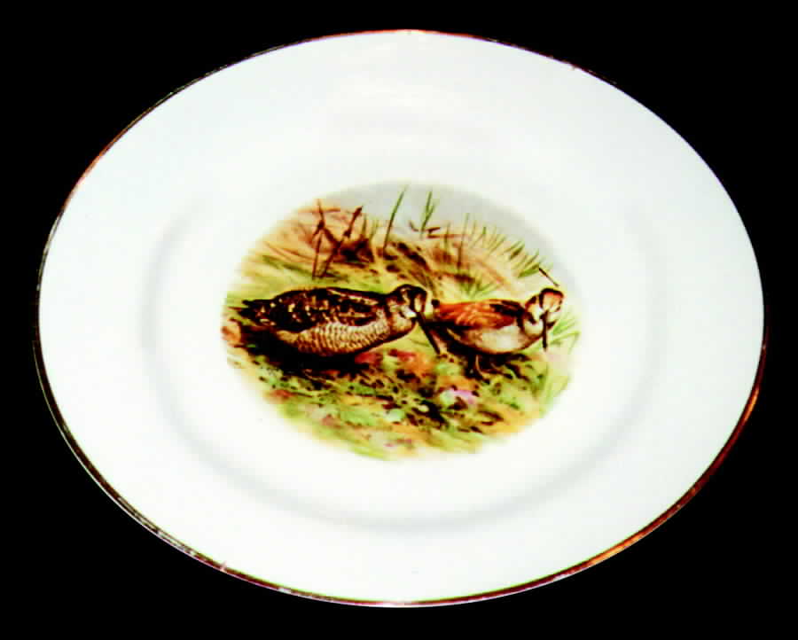 TIR99 Dinner Plate by Tirschenreuth-1