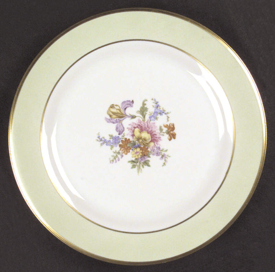 Wilton Dinner Plate by Tirschenreuth-1