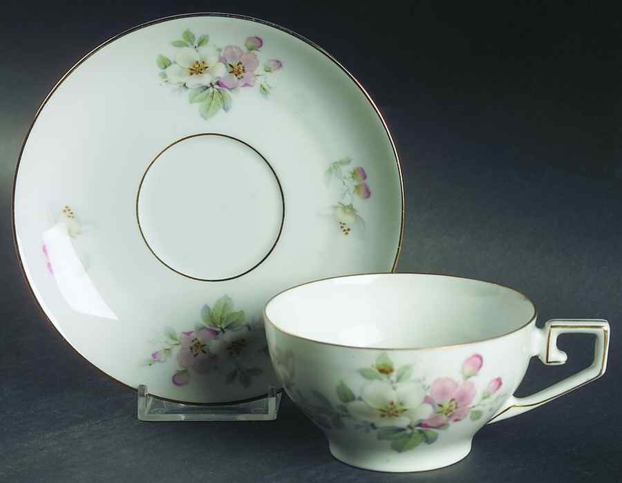Wild Rose Flat Cup & Saucer Set by Tirschenreuth-1