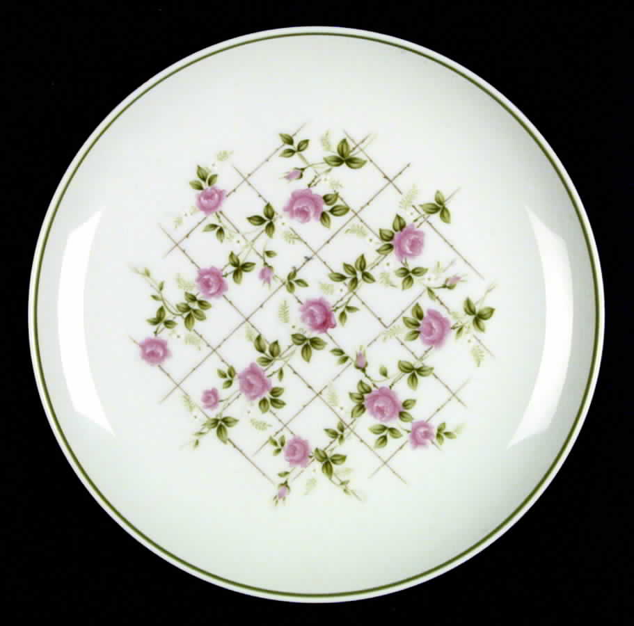 Rosevine Dinner Plate by Taka San-1