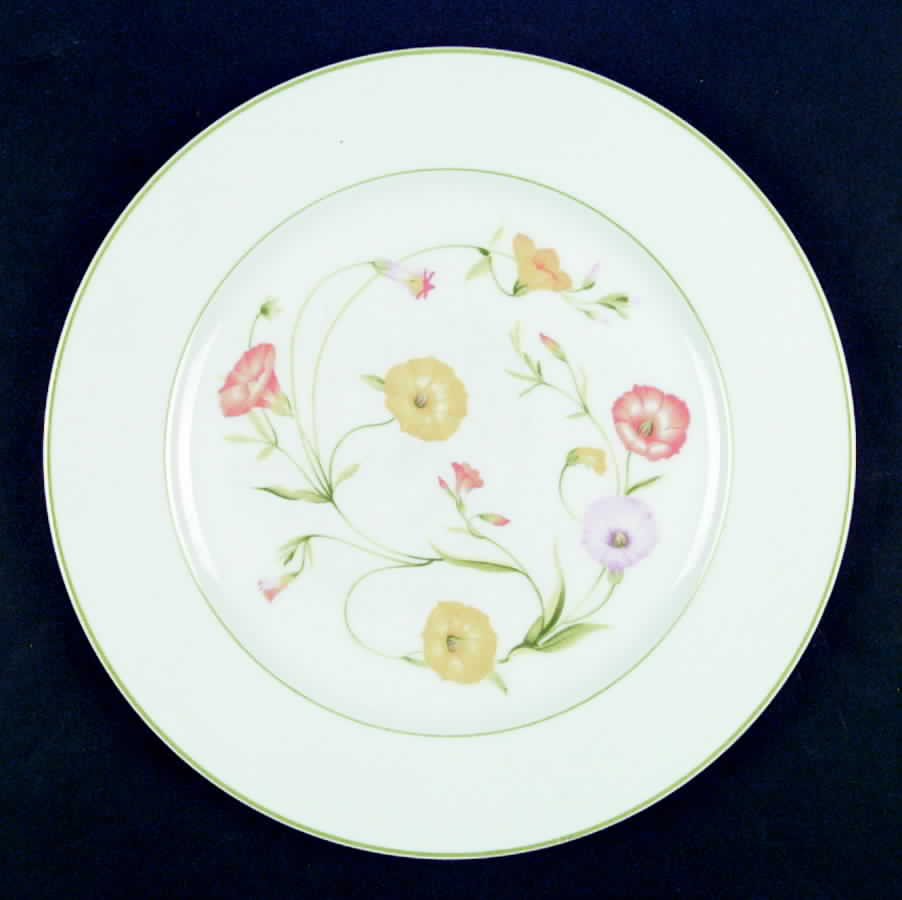 Ceylon Dinner Plate by Toscany-1