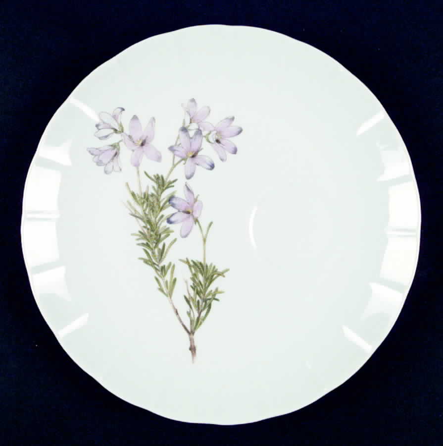 Lima Snack Plate by Toscany-1