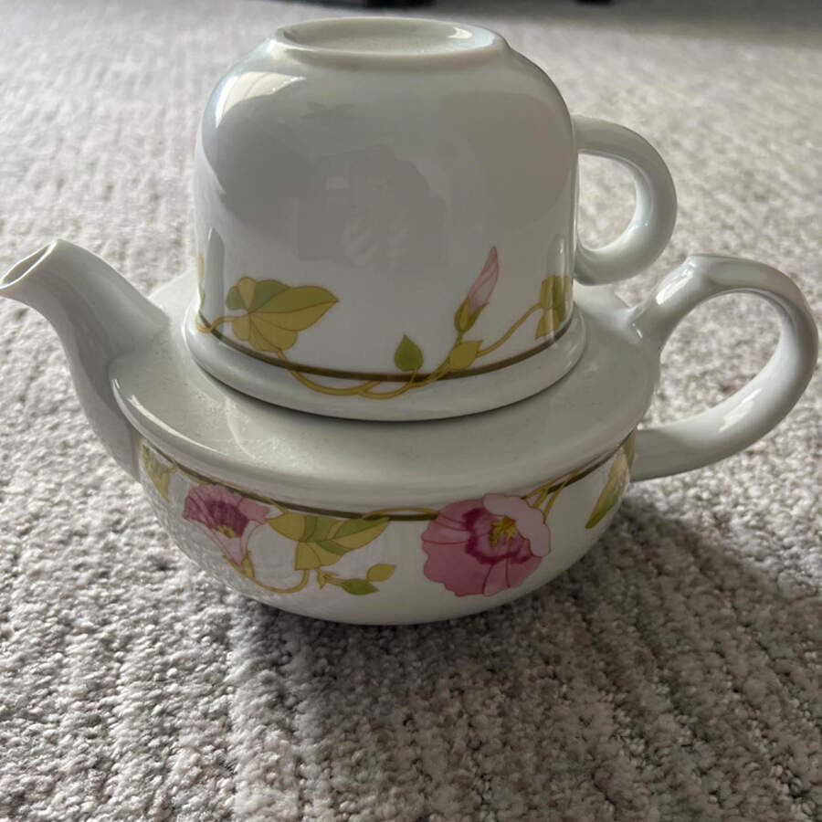 Portsmouth Individual Teapot & Lid with Cup by Toscany-1