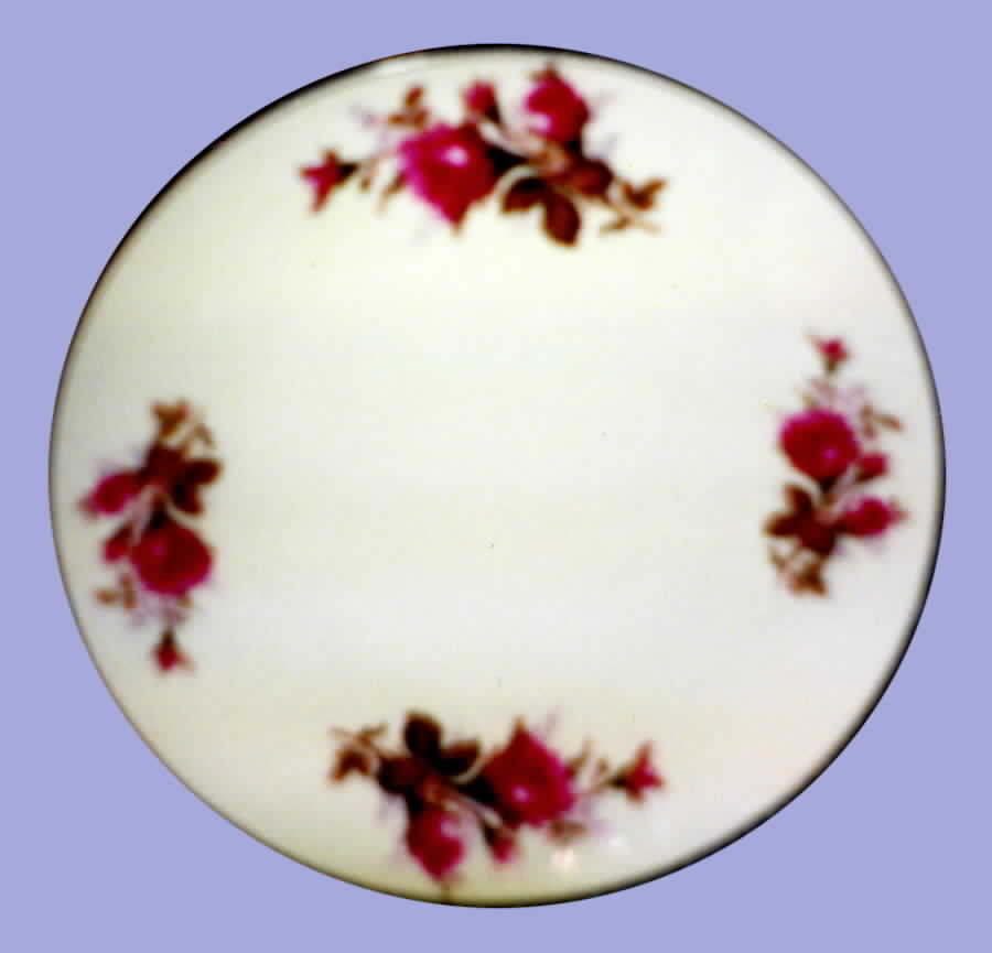 TOU1 Dinner Plate by Toukai-1