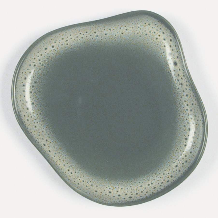 Frosty Pine Saucer by Tamac-1