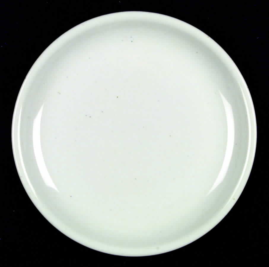 Galaxy Milkstone White Dinner Plate by Trend Pacific-1