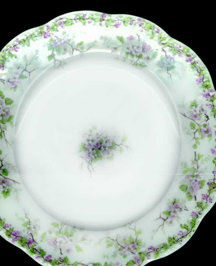 2381 Dinner Plate by Tressemanes & Vogt-1