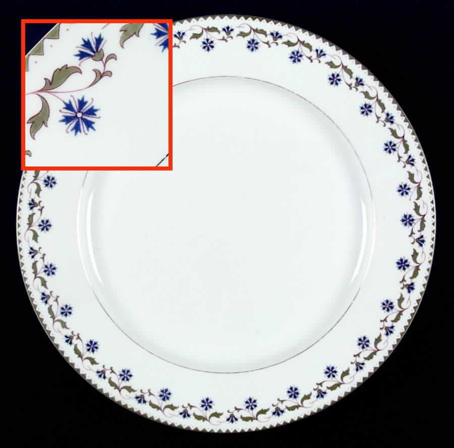 5865-5855 Dinner Plate by Tressemanes & Vogt-1