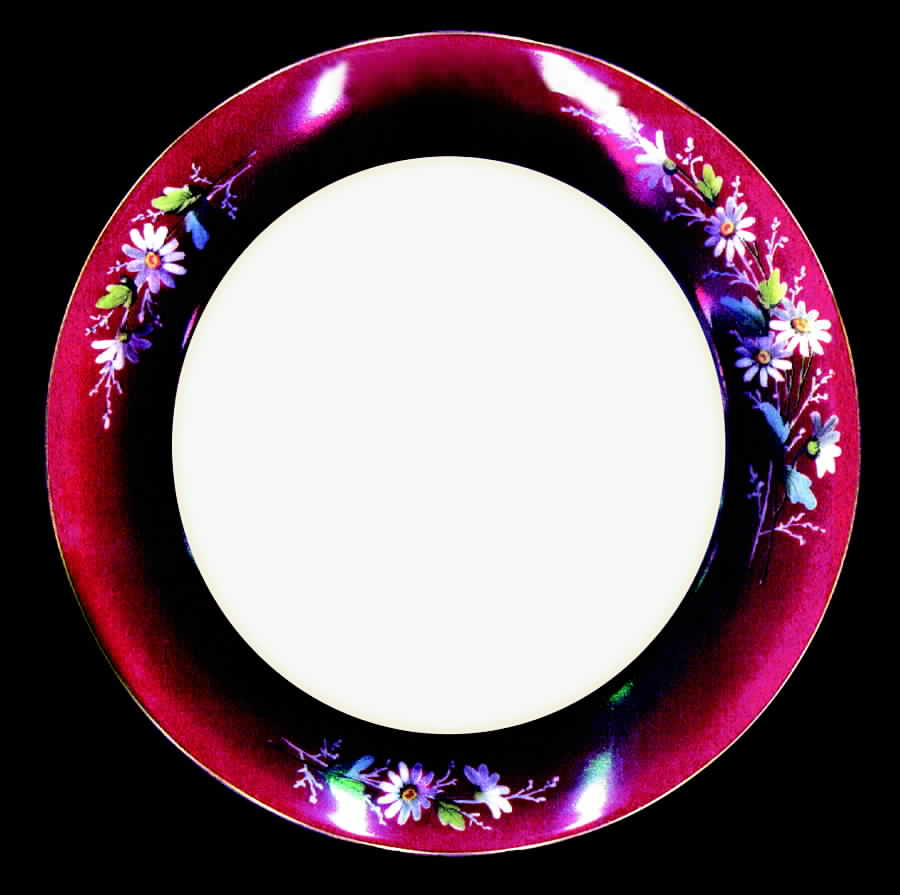 TRV112 Luncheon Plate by Tressemanes & Vogt-1