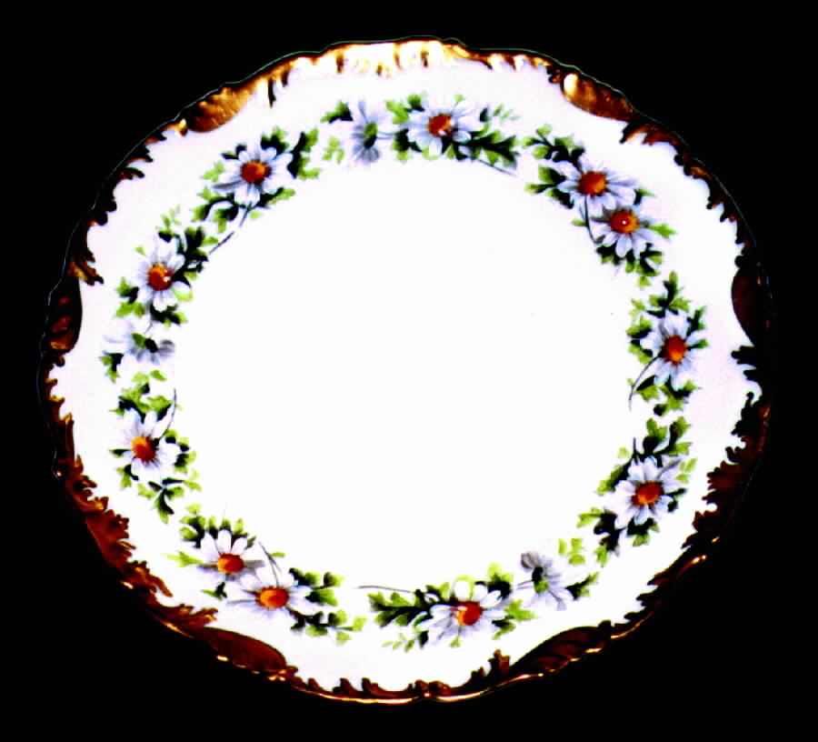 Trv117 (Coupe) Dinner Plate by Tressemanes & Vogt-1