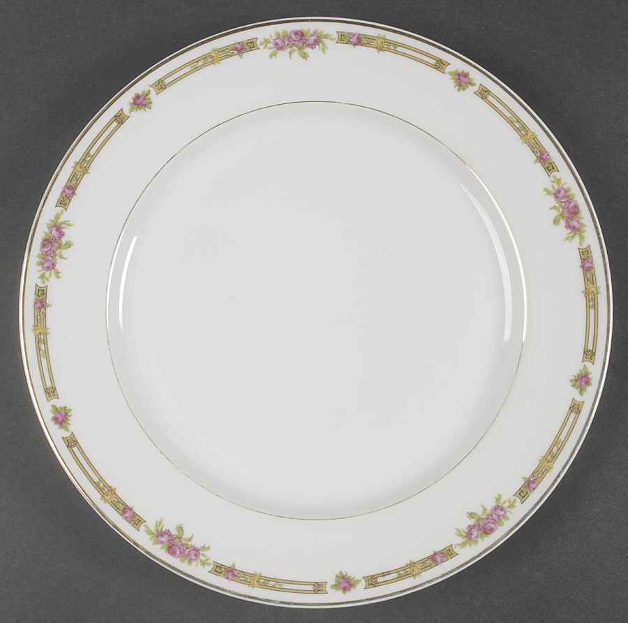 TRV43 Dinner Plate by Tressemanes & Vogt-1