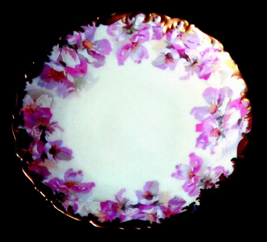 TRV61 Dinner Plate by Tressemanes & Vogt-1
