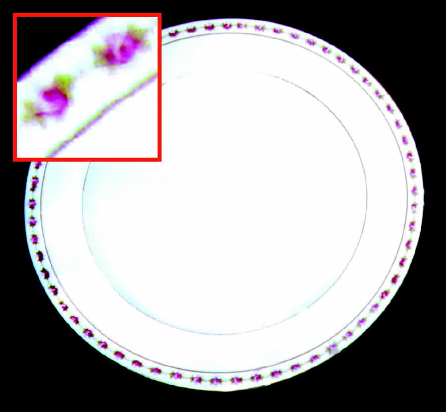 TRV89 Dinner Plate by Tressemanes & Vogt-1