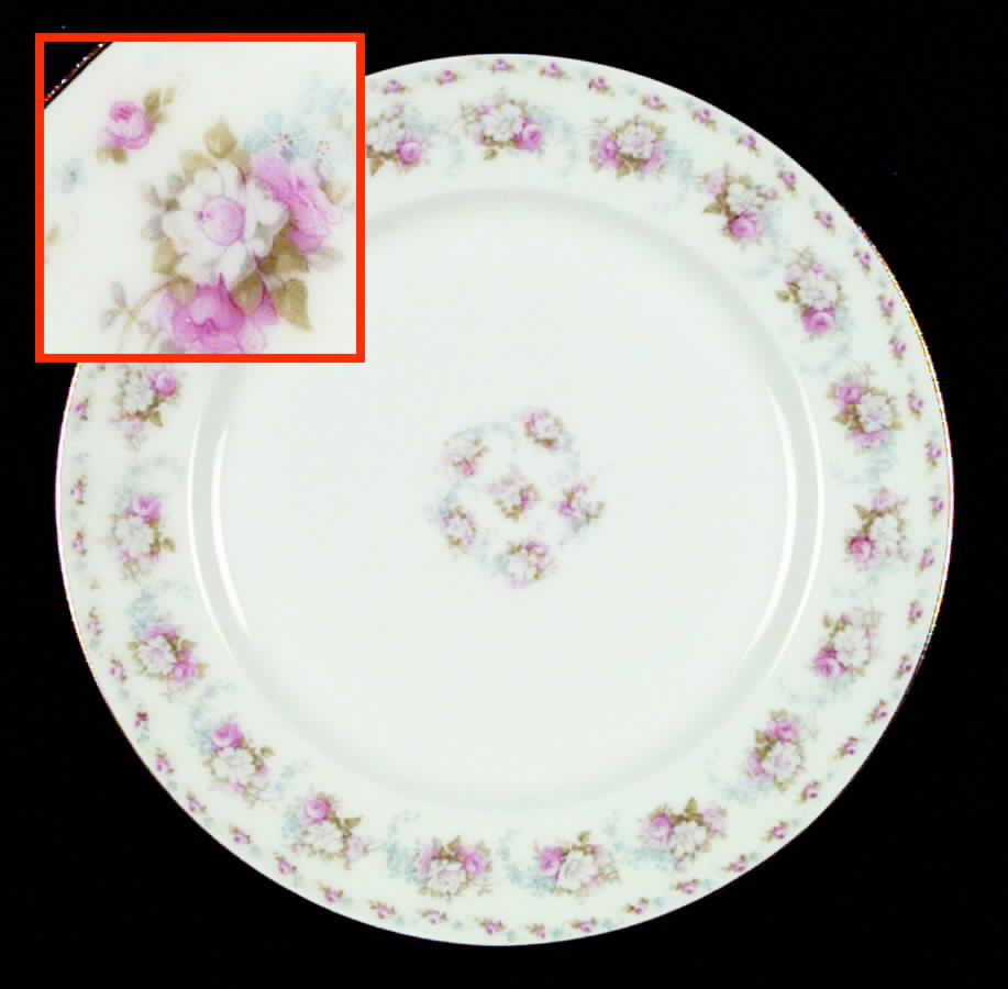 TRV91 Dinner Plate by Tressemanes & Vogt-1