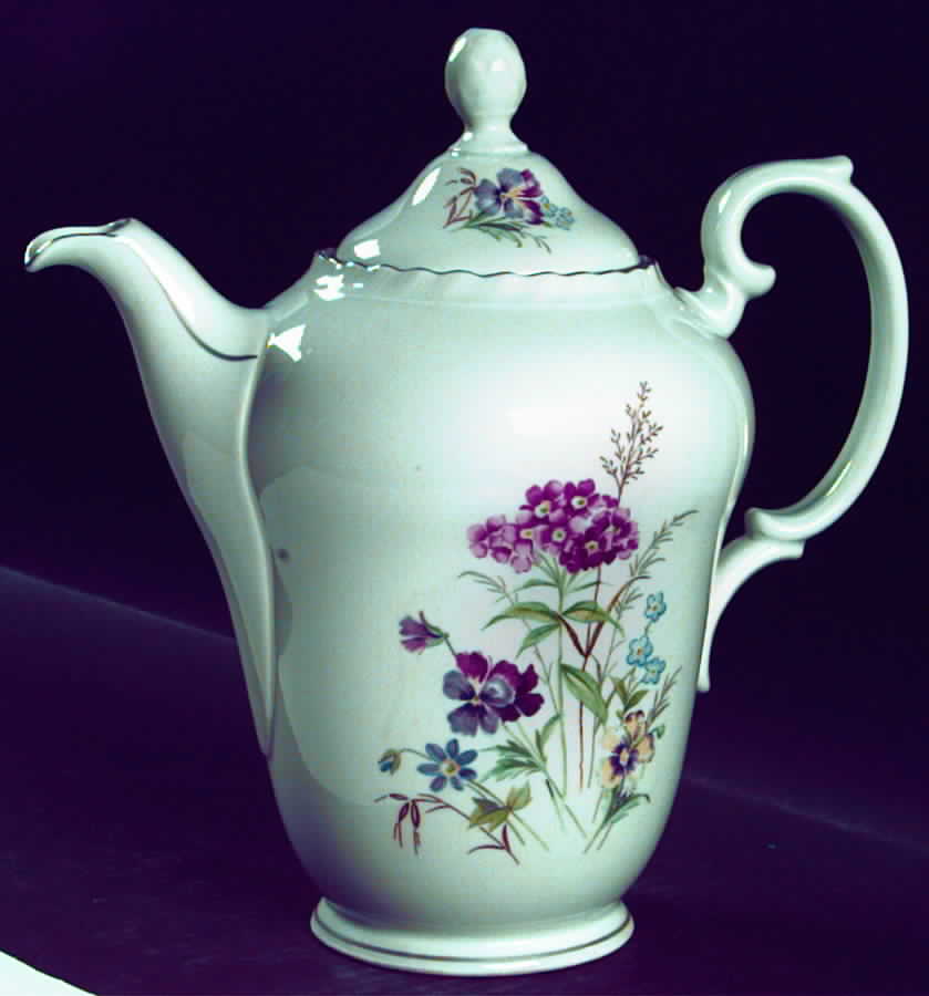 Meadow Flowers Coffee Pot & Lid by Toscport-1