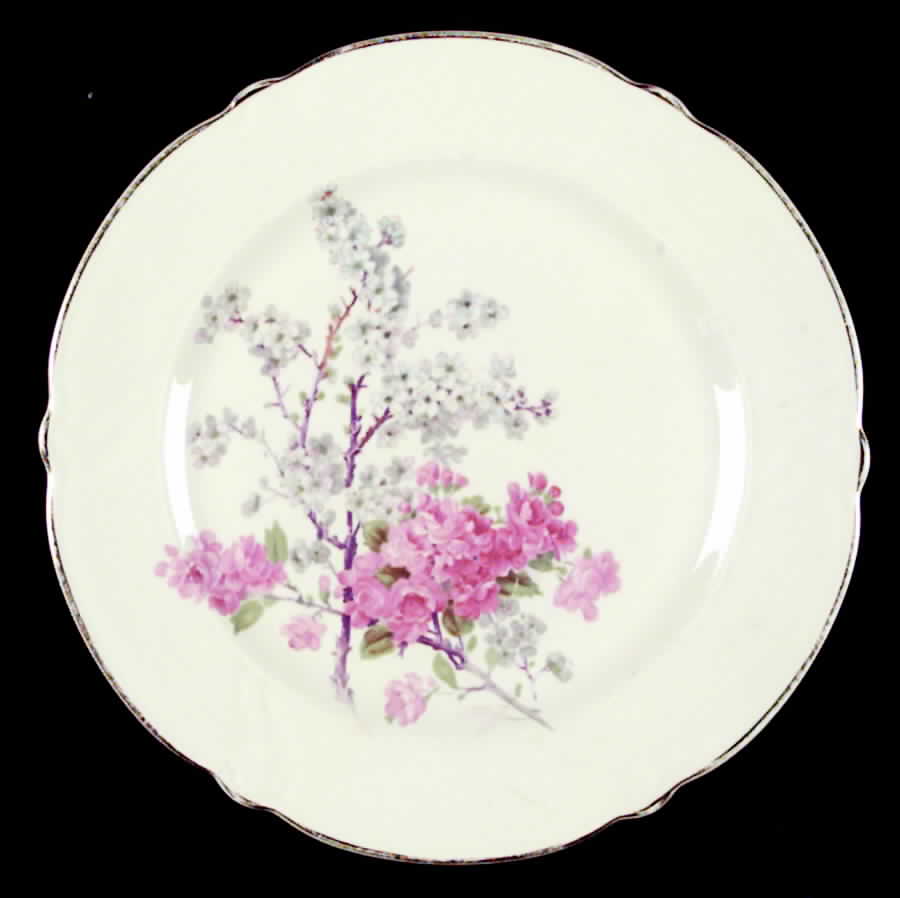 1164 Dinner Plate by Taylor, Smith & Taylor (Ts&T)-1