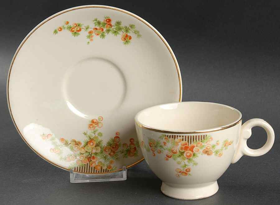 1484 Footed Cup & Saucer Set by Taylor, Smith & Taylor (Ts&T)-1