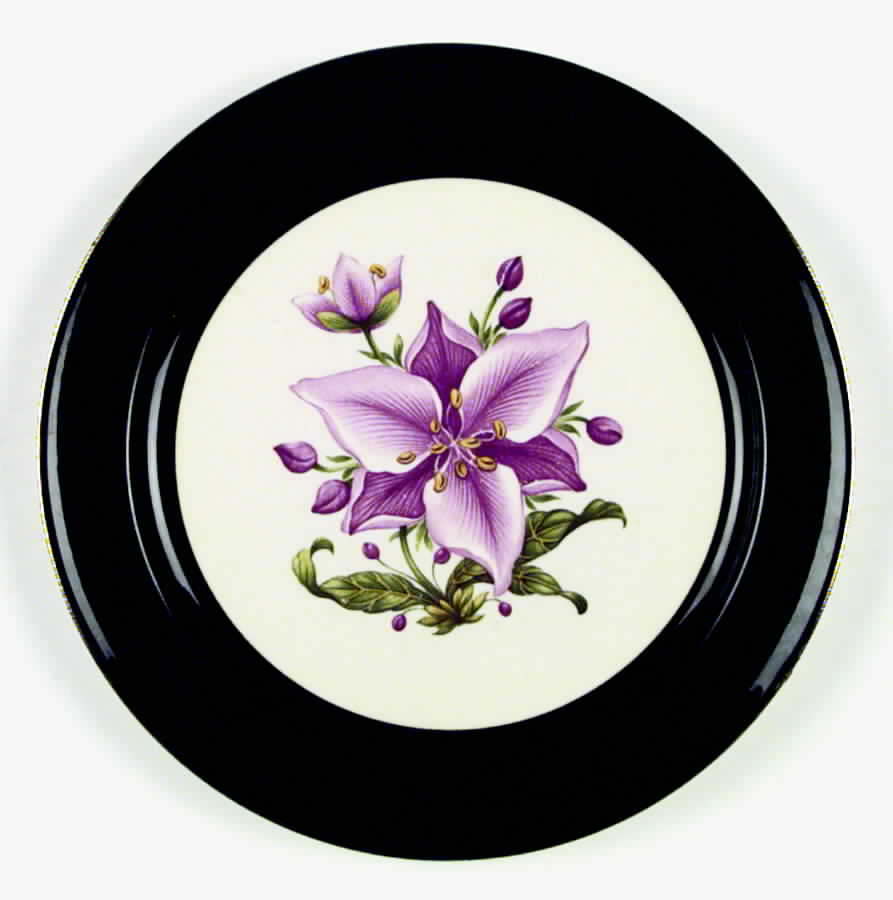 Appalachian Heirloom Bonnie (Gold Trim) Dinner Plate by Taylor, Smith & Taylor (Ts&T)-1