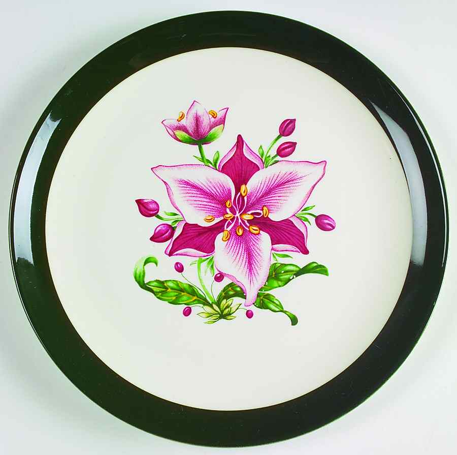 Appalachian Heirloom Bonnie (No Trim) Luncheon Plate by Taylor, Smith & Taylor (Ts&T)-1