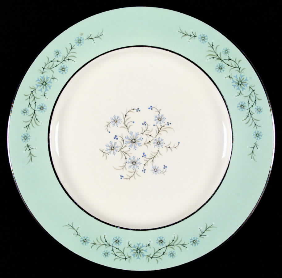 Classic Blue Dinner Plate by Taylor, Smith & Taylor (Ts&T)-1