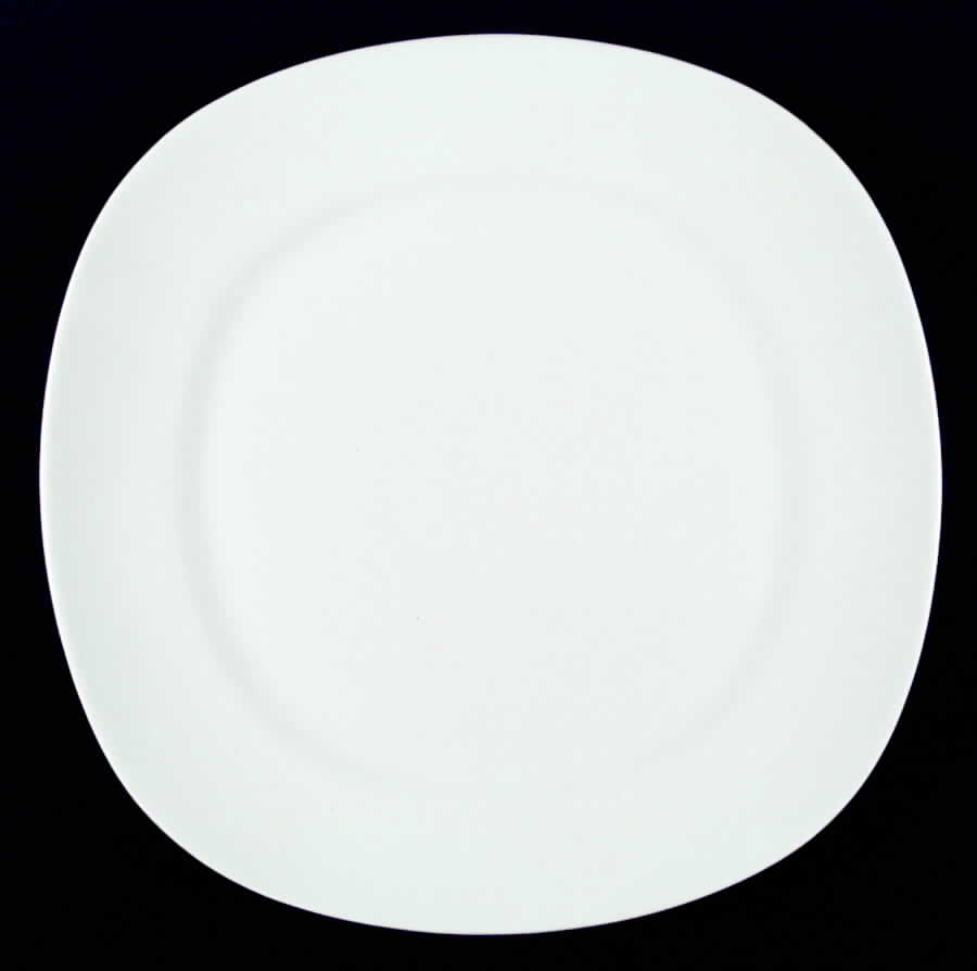 Conversation White Dinner Plate by Taylor, Smith & Taylor (Ts&T)-1