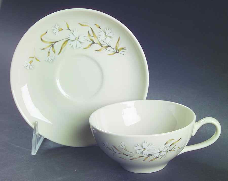 Dianthus Flat Cup & Saucer Set by Taylor, Smith & Taylor (Ts&T)-1