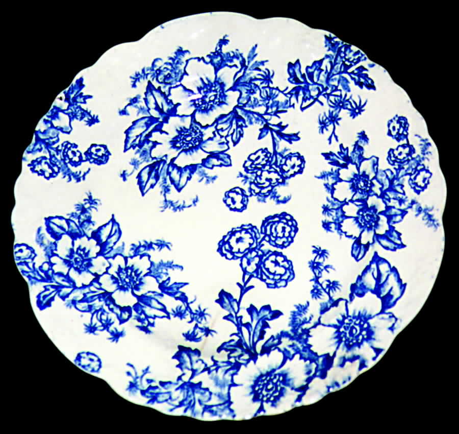 Dogwood Blue Dinner Plate by Taylor, Smith & Taylor (Ts&T)-1