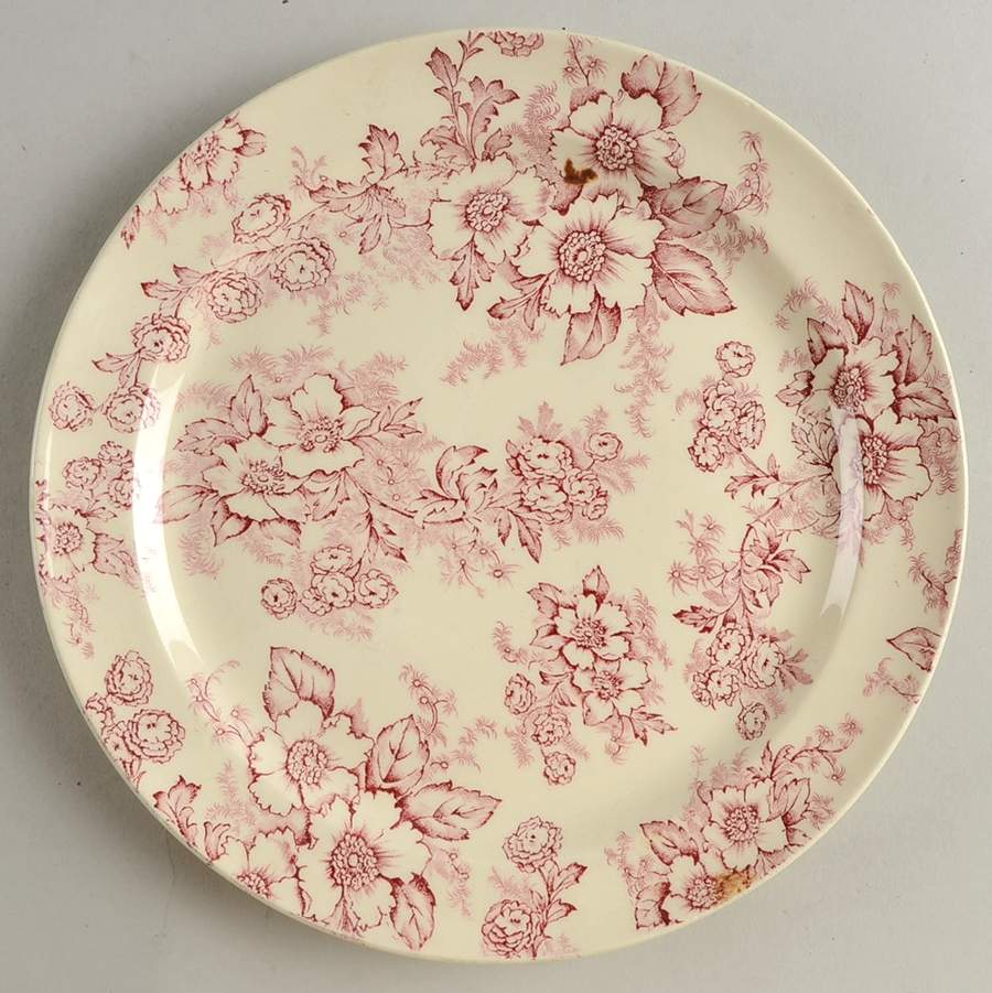 Dogwood Pink (Rim, Smooth, Cream) Luncheon Plate by Taylor, Smith & Taylor (Ts&T)-1