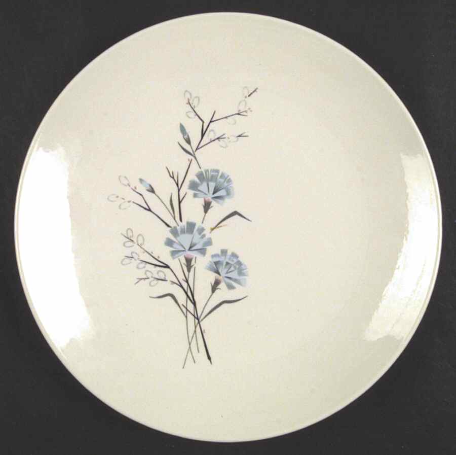 Floral Dinner Plate by Taylor, Smith & Taylor (Ts&T)-1
