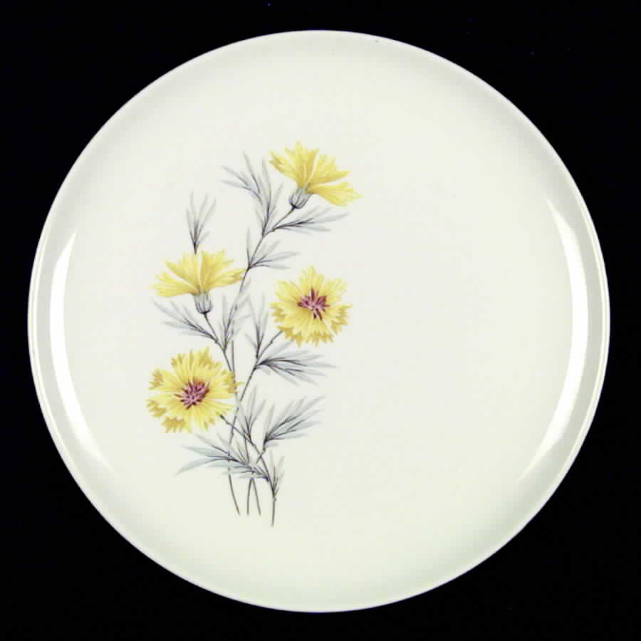 Golden Button Dinner Plate by Taylor, Smith & Taylor (Ts&T)-1