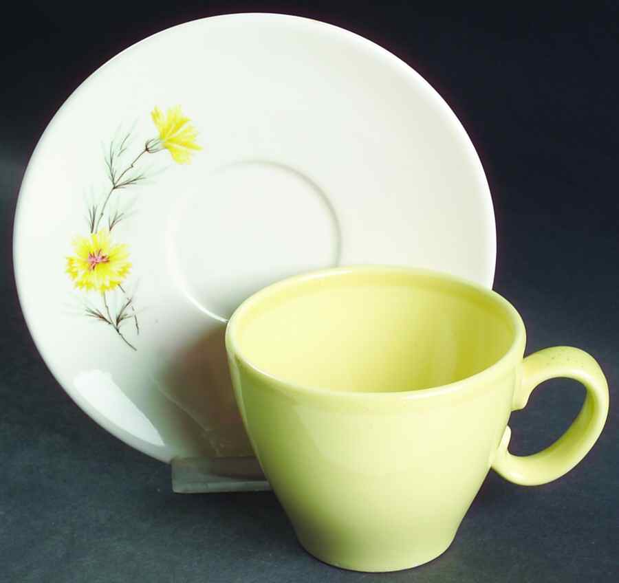 Golden Button Flat Cup & Saucer Set by Taylor, Smith & Taylor (Ts&T)-1