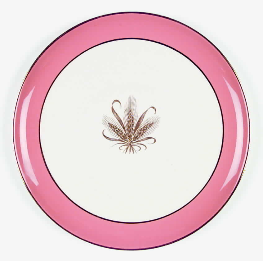 Golden Wheat Coral Dinner Plate by Taylor, Smith & Taylor (Ts&T)-1