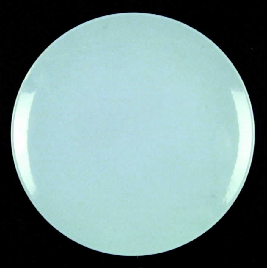 Indigo Dinner Plate by Taylor, Smith & Taylor (Ts&T)-1