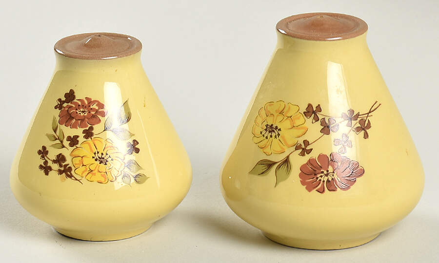 Indian Summer Salt & Pepper Set by Taylor, Smith & Taylor (Ts&T)-1
