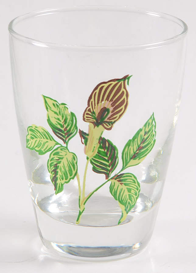 King O'Dell Glassware Juice by Taylor, Smith & Taylor (Ts&T)-1