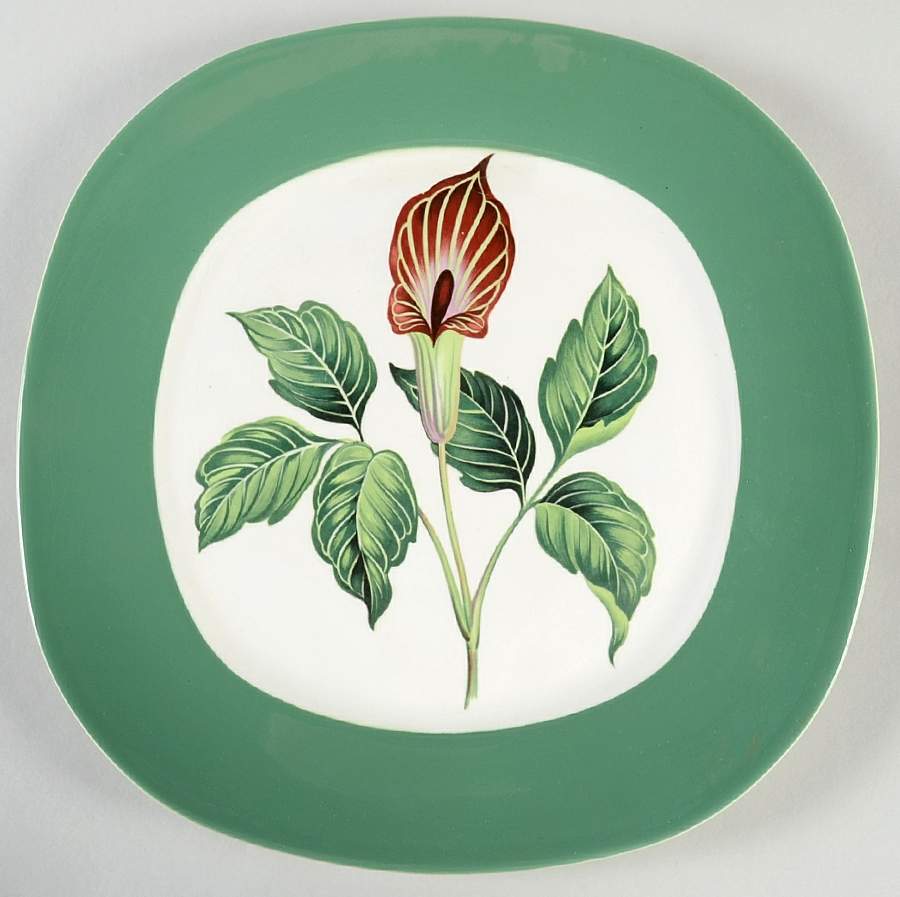 King O'Dell Dinner Plate by Taylor, Smith & Taylor (Ts&T)-1