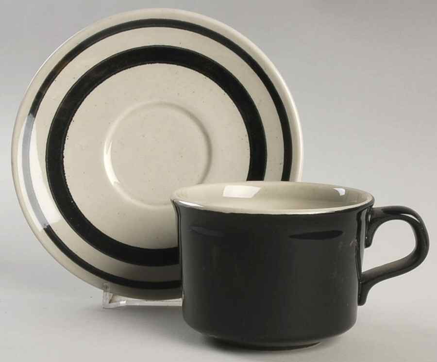 Nightflower Flat Cup & Saucer Set by Taylor, Smith & Taylor (Ts&T)-1
