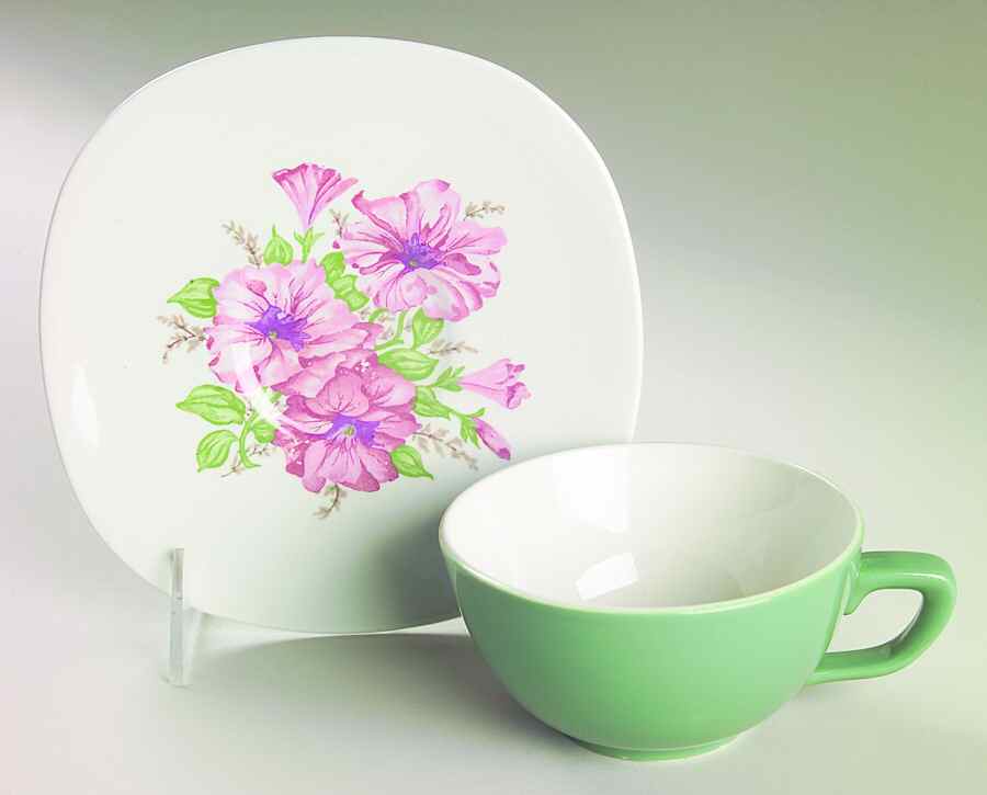 Petunia Flat Cup & Saucer Set by Taylor, Smith & Taylor (Ts&T)-1
