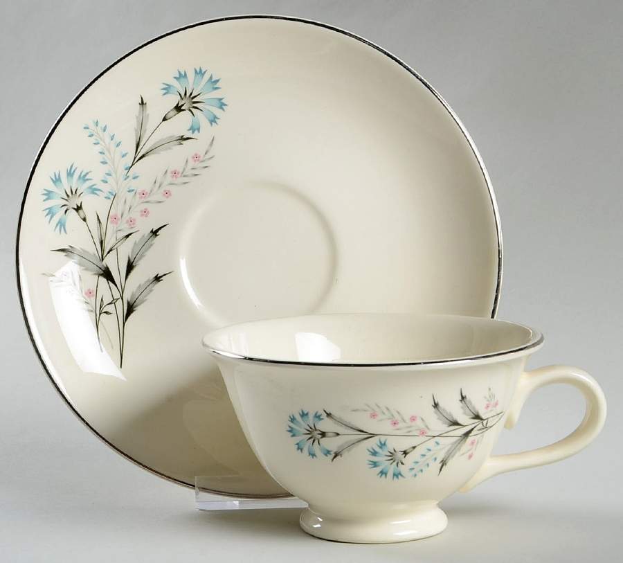 TST117 Footed Cup & Saucer Set by Taylor, Smith & Taylor (Ts&T)-1