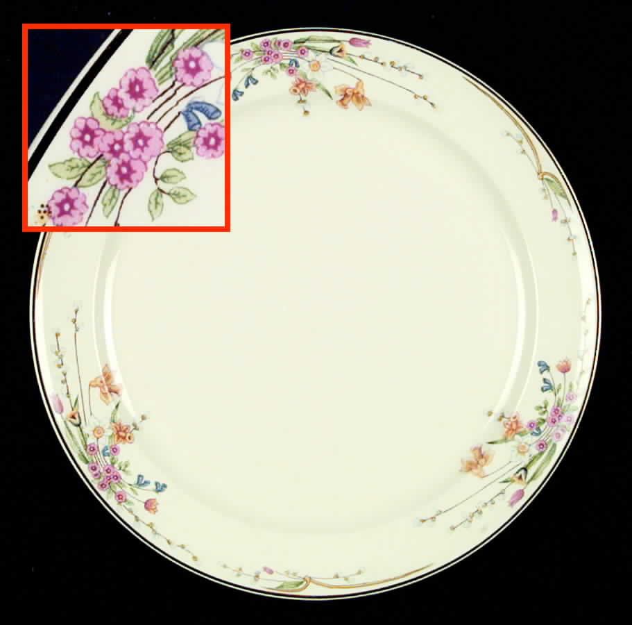 TST120 Dinner Plate by Taylor, Smith & Taylor (Ts&T)-1