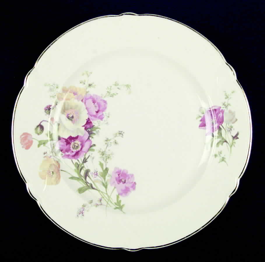 TST128 Dinner Plate by Taylor, Smith & Taylor (Ts&T)-1