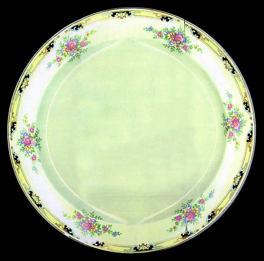 TST134 Dinner Plate by Taylor, Smith & Taylor (Ts&T)-1