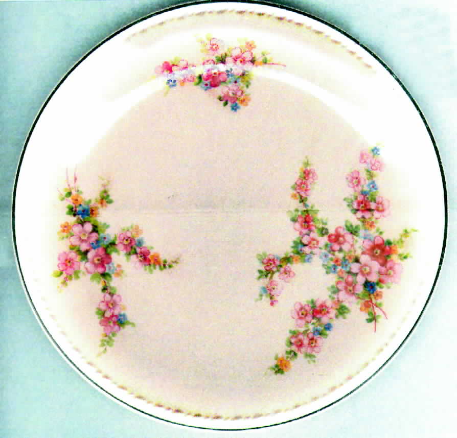 TST145 Salad Plate by Taylor, Smith & Taylor (Ts&T)-1
