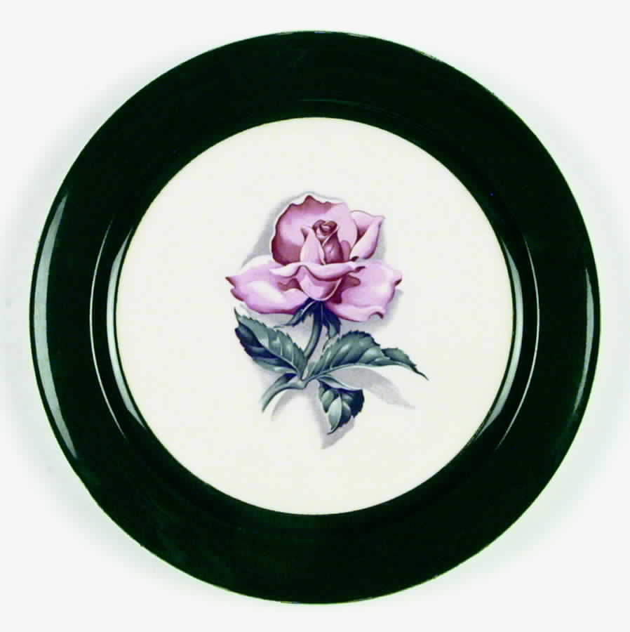 TST15 Dinner Plate by Taylor, Smith & Taylor (Ts&T)-1