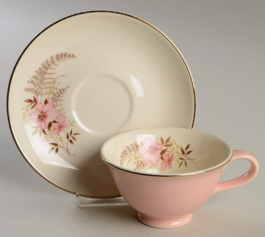 TST163 Footed Cup & Saucer Set by Taylor, Smith & Taylor (Ts&T)-1