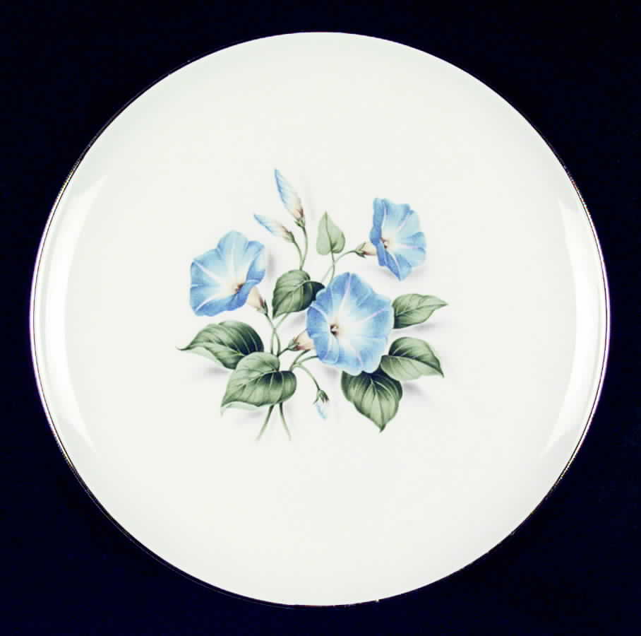 TST165 Dinner Plate by Taylor, Smith & Taylor (Ts&T)-1