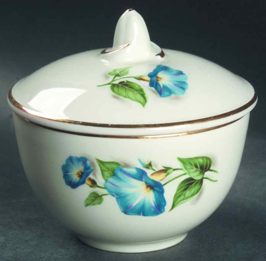 TST165 Sugar Bowl & Lid by Taylor, Smith & Taylor (Ts&T)-1