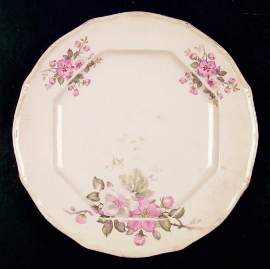 TST176 Dinner Plate by Taylor, Smith & Taylor (Ts&T)-1