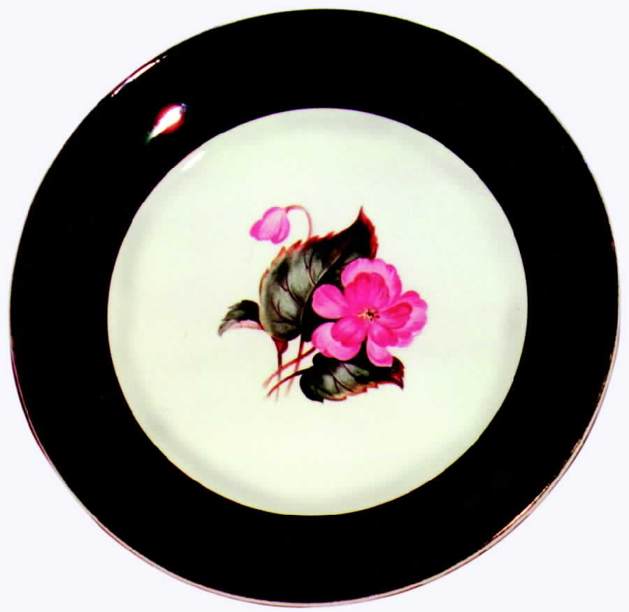 TST198 Dinner Plate by Taylor, Smith & Taylor (Ts&T)-1