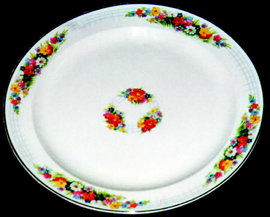 TST199 Dinner Plate by Taylor, Smith & Taylor (Ts&T)-1